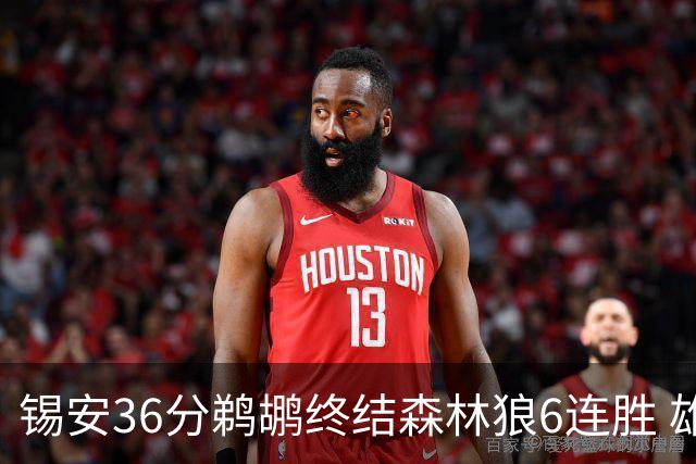 锡安36分鹈鹕终结森林狼6连胜 雄鹿险胜公牛